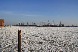 Zugefrorener Hafen Februar 2012
