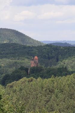 Pfälzer Wald mit Burg Berwartstein